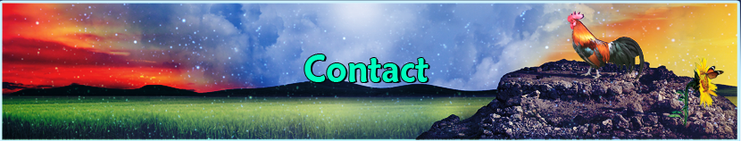 Hearts, Minds & Music